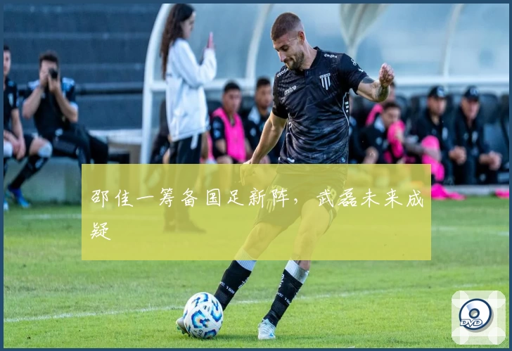 邵佳一筹备国足新阵，武磊未来成疑