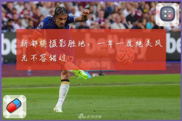 新都桥摄影胜地，一年一度绝美风光不容错过