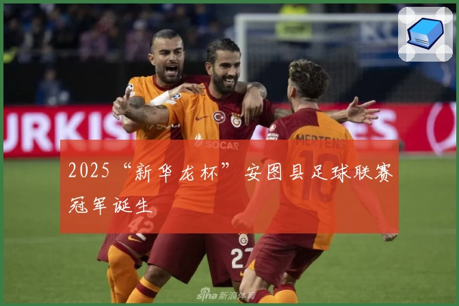 2025“新华龙杯”安图县足球联赛冠军诞生