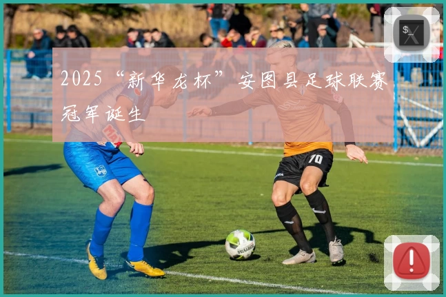 2025“新华龙杯”安图县足球联赛冠军诞生